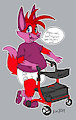 Rad Rollator