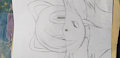 (WIP) Nova the Fox by Shadoon