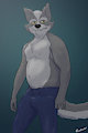 Cael by frostclaw01
