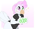 6k on Twitter Woot!
