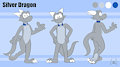 Silver Reference (collar)