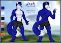 Jack reference sheet