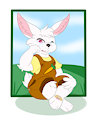 Bunny got a boo-boo