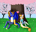 Dragons Under the Cherry Tree
