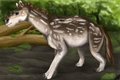 Moropus