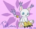 Tailmon Gatomon by jennytablina
