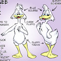 Shanee Model Sheet by Bahlam
