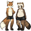 tanuki fox by aquoquoo