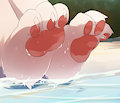 Paws xD