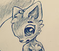Squirrel doodle