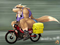 Small bike or big Gal? by ZorroRe