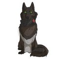 Woof