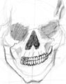 Skull fail by olgolugo