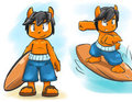 Surfer
