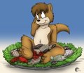 Otter platter