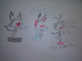 Yakko Wakko and Dot's Booty Shake Results