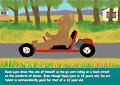 Digital Pics Drawn by the Cubs