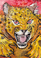 Angry jaguar- ACEO