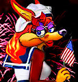 Dottie Coyote, Fleet Pin-up