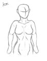 Female Body Sketch