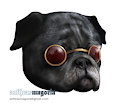 Cool Pug by Anthrasmagoria