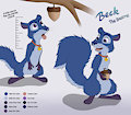Beck's ref sheet