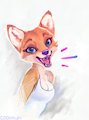 Yip Yap Fox
