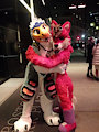 Boston Raptor
