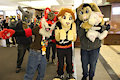 A Fox, Lion, Rabbit and Salamander walk into a Con