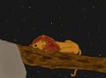 sweet dreams