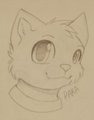 Aren't I cute =^-^= by ADHR26