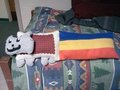 NYAN CAT by Pawgyle