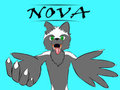 Nova Huggles