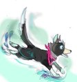 wet dog