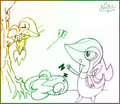 Snivy Sketches by Nakuri