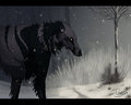 Bringer of the Night