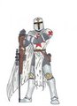 Templar Knight by Nayus