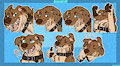 Pepper Stickers