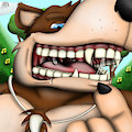 Banjo is back and hungry