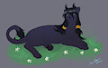 Reva cat