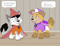 Paw patrol : the wizard of changes