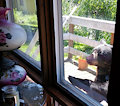 New Submission- Bear on Porch by Churchill