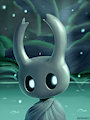 Nameless Knight - Hollow Knight
