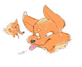 Nasteh Foxeh