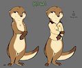 Kiwi the Room Service Otter