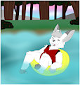 C : Bunny Tubin