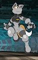 Fox McCloud