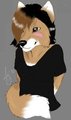 my wolfen aniu done by Shockley23 