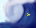 surfing Joe
