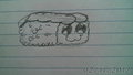 Picture of Digisushi by comjuke